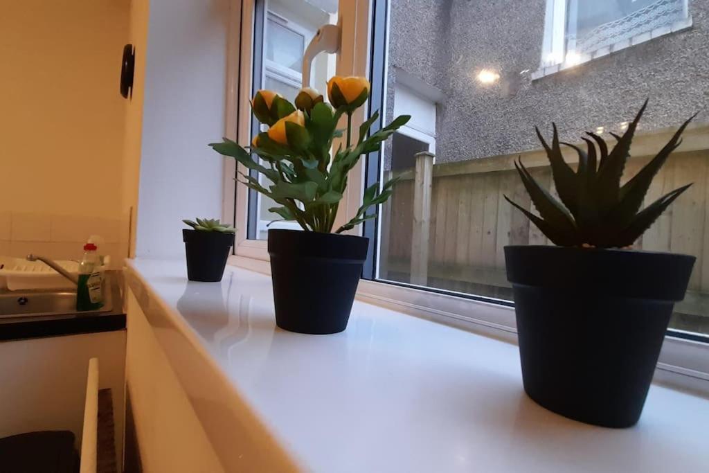 Spacious 4 Bedroom, Free Netflix, Central Location 卡迪夫 外观 照片