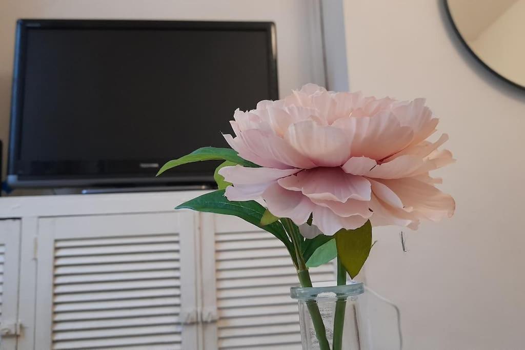 Spacious 4 Bedroom, Free Netflix, Central Location 卡迪夫 外观 照片